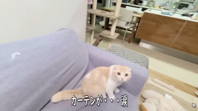犯人のじゅんちゃん
