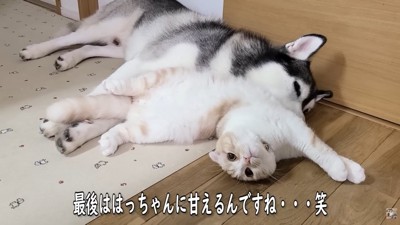 甘えながらまったり♡