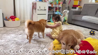 悔しさが募るほのちゃん