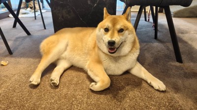 のんびり