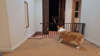 お兄ちゃんが家に到着