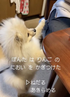 速やかにおねだり