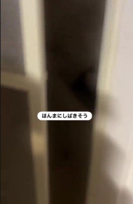 物音が聞こえて…