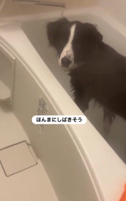 ｢何をされてるんですかね…あなたは｣