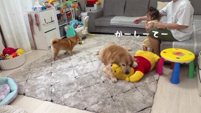 うにくんとほのちゃんが…