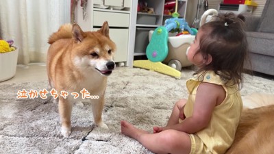 「ごめんね」