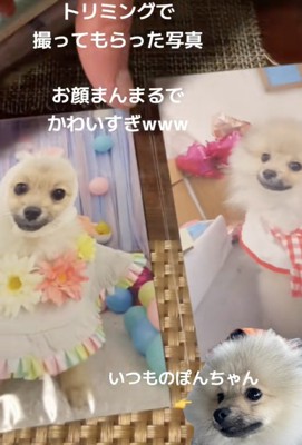 もう1枚も、とってもキュート