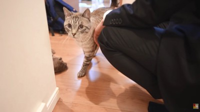 ぽんすけ君に会いに行ってみたら…