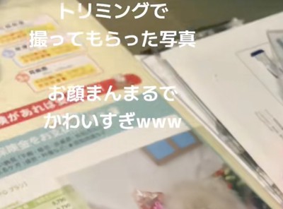 はたしてどんな写真なのでしょう？