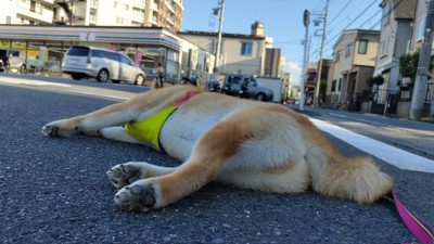 倒れる