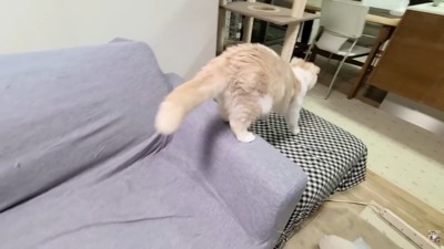 逃げて行きました…
