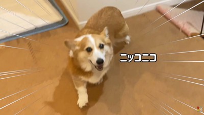 嬉しくてニコニコ♪