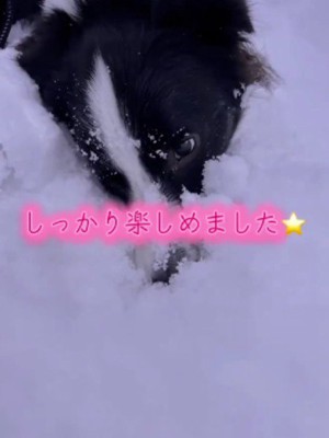 たくさん遊べたよ！！