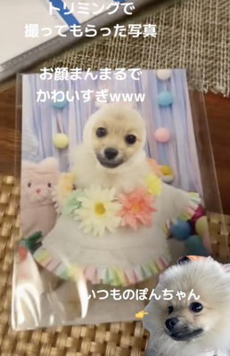 お顔まんまる！