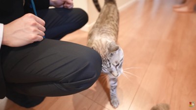 思い出してスリスリ♪