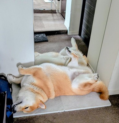 のんびり