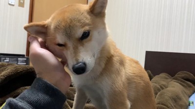 パパさんと一緒にのんびり♪