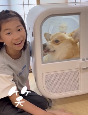人のそばで舌を出す犬