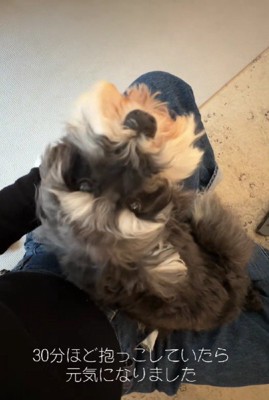 「なんか大丈夫そうだね」