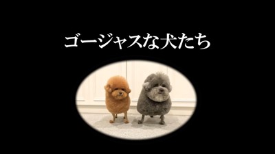 ゴージャス？？？