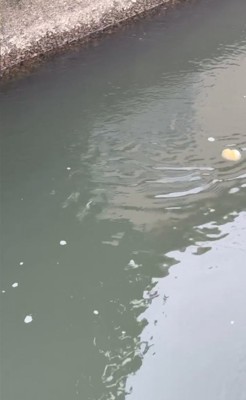そのままスイー…