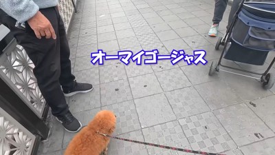 思った以上にべた褒め