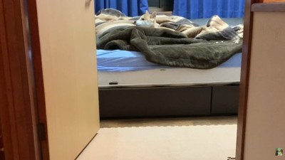 「パパは？」とキョロキョロ