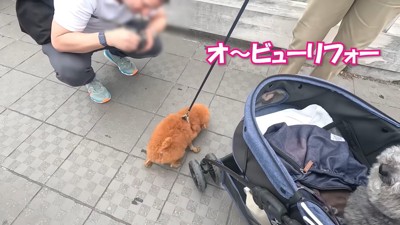 「ビューティフォー！」