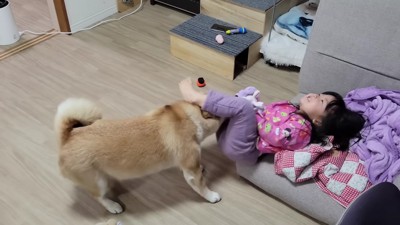 面倒見のいいわらびちゃん