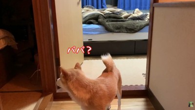 必死に探す姿が愛おしい♡