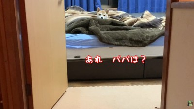パパさんがトイレに行ったら…