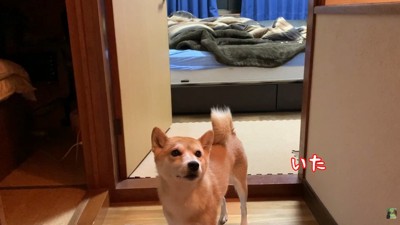 パパさんが戻ると…