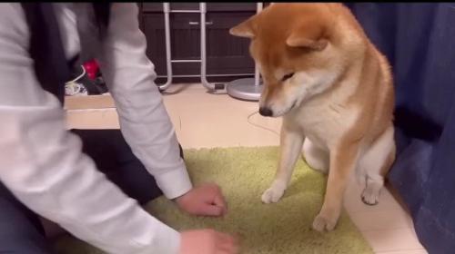 名前をどうしよう…？