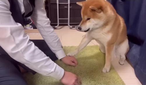 やっぱり「わらび」！！