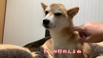 「もうどこにも行かないよね？」