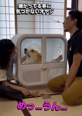 人を見上げる犬