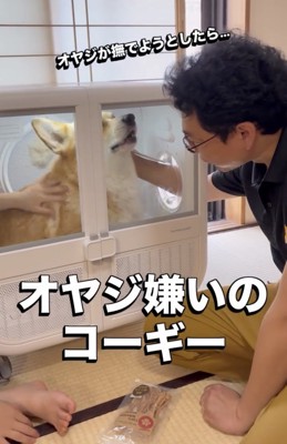 ドライヤーハウスで撫でられる犬