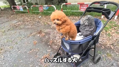 京都にやってきました♪