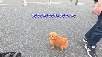 確かに唐揚げっぽい…！