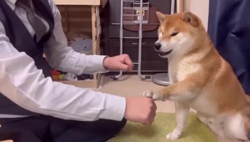 「わらび」を選ぶ！！