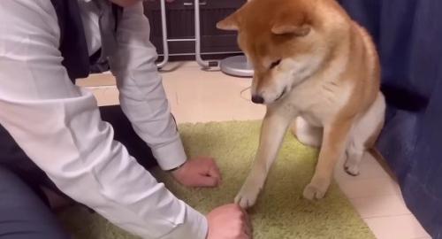 何度試しても…