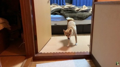 ベッドから降りて部屋の外へ