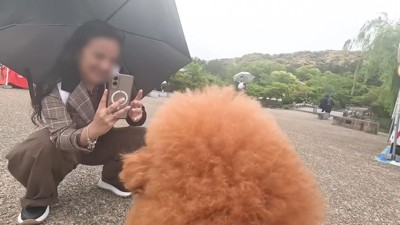 「なんて美しいの！」
