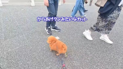 日本人の反応は「からあげクンみたい」