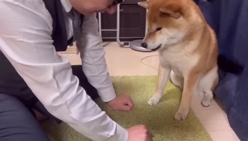 左右入れ替えても…