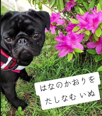 自然が大好き！！