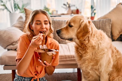 ご飯を欲しそうにする犬