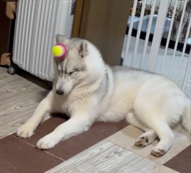 まさかの