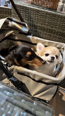 チワワに鼻を近づけるダックス