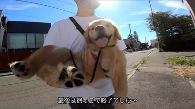 最後は赤ちゃんらしく抱っこ♡